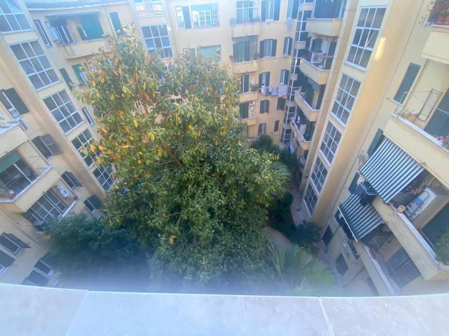 Domus Giulia & Andrea Apartamento